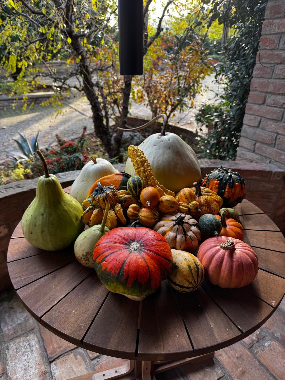 Frutti dell'orto